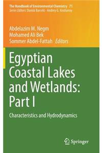 Egyptian Coastal Lakes and Wetlands: Part I