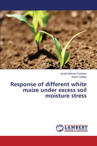 Response of different white maize under excess soil moisture stress
