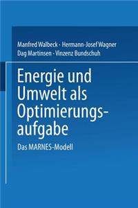 Energie Und Umwelt ALS Optimierungsaufgabe