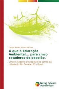 O que é Educação Ambiental... para cinco catadores de papelão.