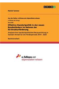 Effektive Standortpolitik in den neuen Bundesländern im Rahmen der EU-Strukturförderung