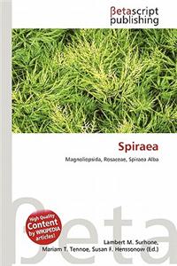 Spiraea