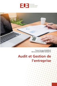 Audit et Gestion de l'entreprise