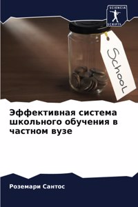 Эффективная система школьного обучения в
