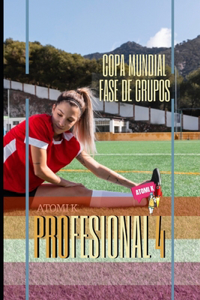 Profesional IV