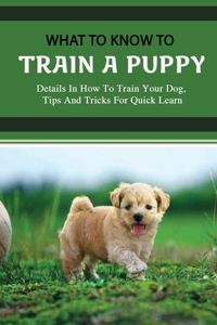 What To Know To Train A Puppy