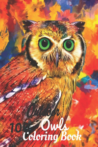 100 Outdoor Owls Coloring Book