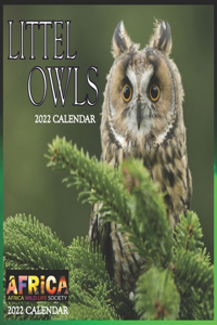 Little Owls CALENDAR 2022