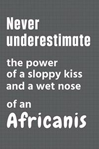 Never underestimate the power of a sloppy kiss and a wet nose of an Africanis