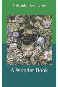 A Wonder Book