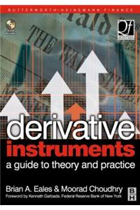 Derivative Instruments