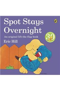 Spot Stays Overnight