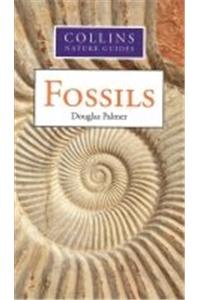 Hamlyn Guide: Fossils