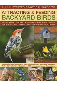 Backyard Birds III: Practical Guide to Attracting and Feeding