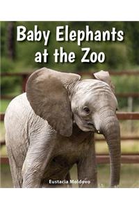 Baby Elephants at the Zoo
