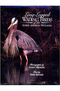 Long-legged Wading Birds of the North American Wetlands