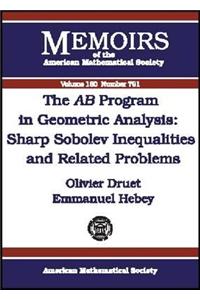 The AB Program in Geometric Analysis