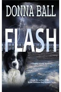 Flash