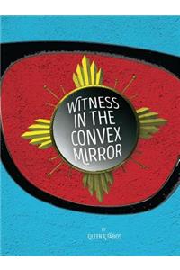 Witness in the Convex Mirror