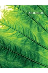 College Ruled Notebook
