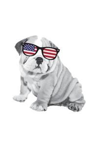 Dog Sunglasses