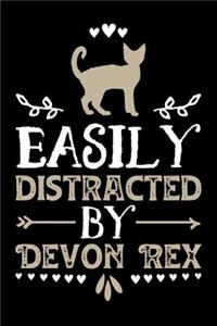 Easily Distracted By Devon Rex
