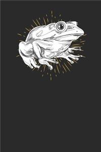 Frog Drawing