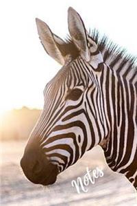 Zebra Notebook