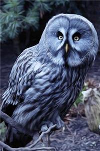 Who's There? Owl at Night Journal