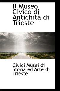 Il Museo Civico Di Antichita Di Trieste