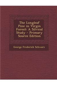 Longleaf Pine in Virgin Forest