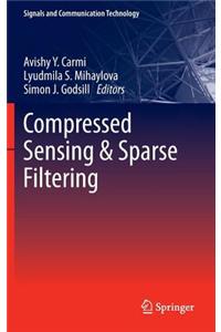 Compressed Sensing & Sparse Filtering