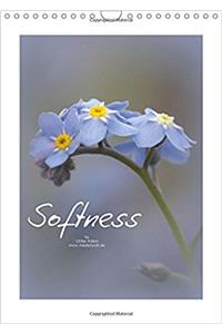 Softness 2018