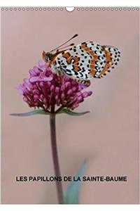 Les Papillons De La Sainte-Baume 2018