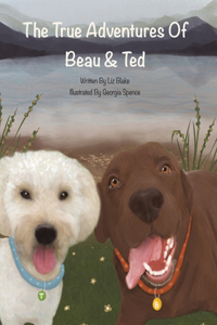 True Adventures of Beau and Ted