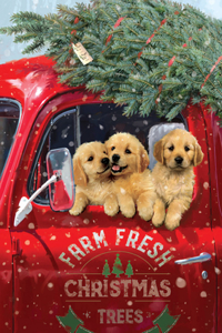 Festive Pups Small Boxed Holiday Cards (20 Cards, 21 Self-Sealing Envelopes)