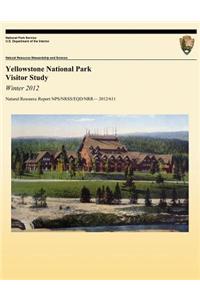 Yellowstone National Park Visitor Study