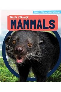 Really Strange Mammals