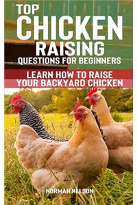 Top Chicken Raising Questions for Beginners