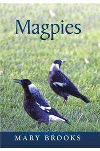 Magpies