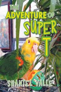 Adventure of Super T