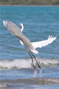 Great Egret Taking Off Journal: 150 page lined notebook/diary