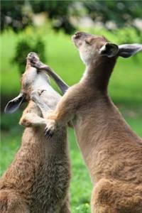 Boxing Kangaroo Journal