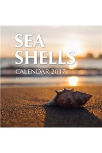 Sea Shells Calendar 2017