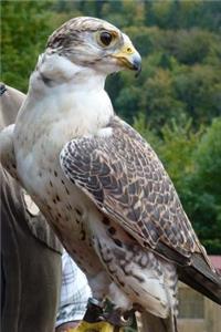 Cool Saker Falcon Bird of Prey Journal