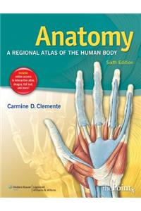 Anatomy: A Regional Atlas of the Human Body