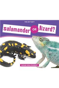 Salamander or Lizard?