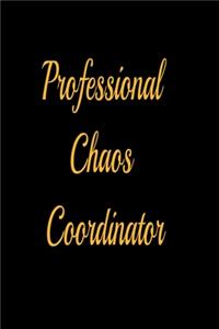 Professional Chaos Coordinator - lined notebook journal