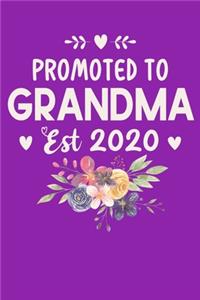 Promoted to Grandma Est. 2020