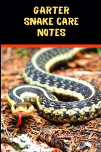 Garter Snake Care Notes